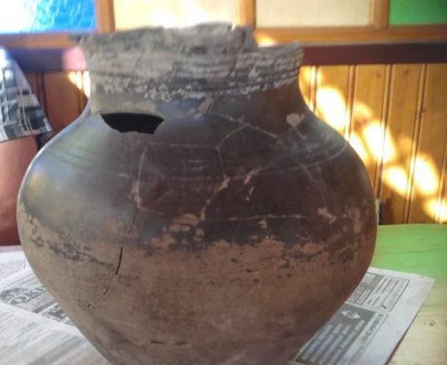 клад, монеты, находка