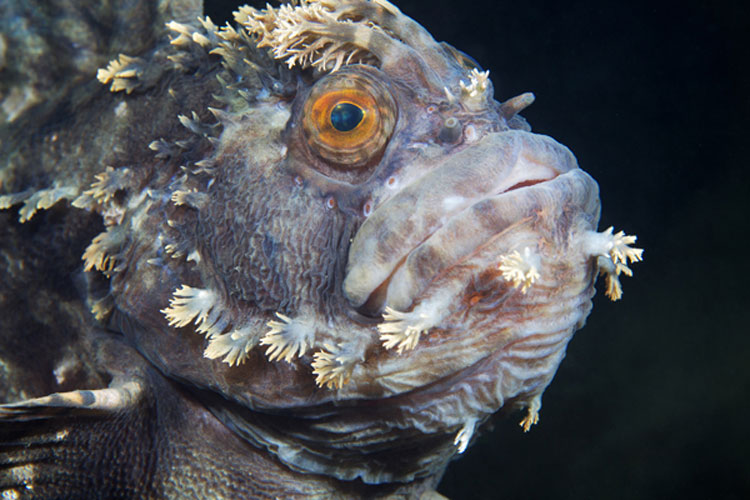 подводный мир