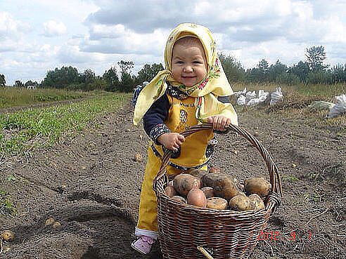 Все профессии хороши дети, картинки, прикол, юмор