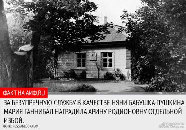 Главная няня России. Почему Пушкин не смог найти могилу Арины Родионовны?