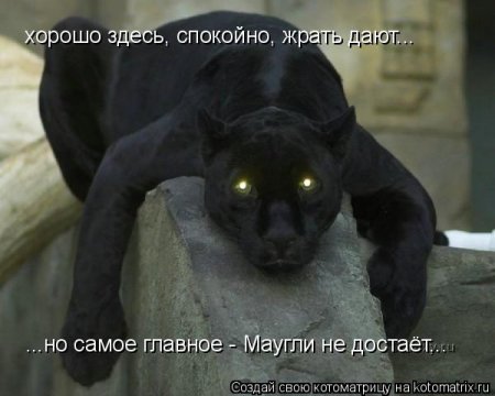 ��������� ����������� ������������..