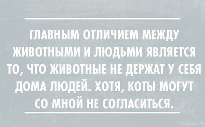 26 открыток от мастеров сарказма открытки, сарказм, юмор