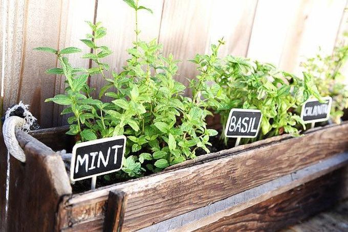 20 ������� � ������� ���������, ������� ������ ����� ������ ������� ����, ����, ������ ������