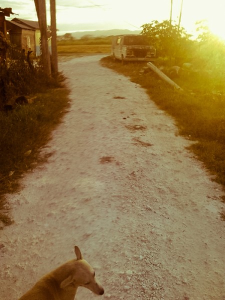 20150227_065318 20150227_065318
