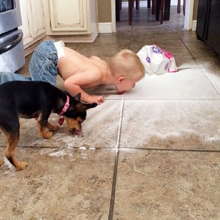 Сайт с самыми ужасными детьми на свете Сайт с самыми ужасными детьми на свете дети, сайт, фото