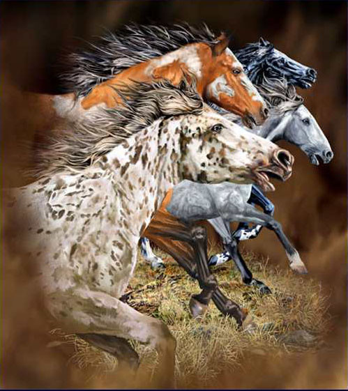 13 лошадей Стивена Гарднера, загадки, картины