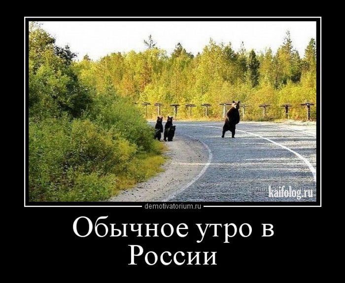 Дорожные демотиваторы (55 демотиваторов) Дорожные демотиваторы (55 демотиваторов)