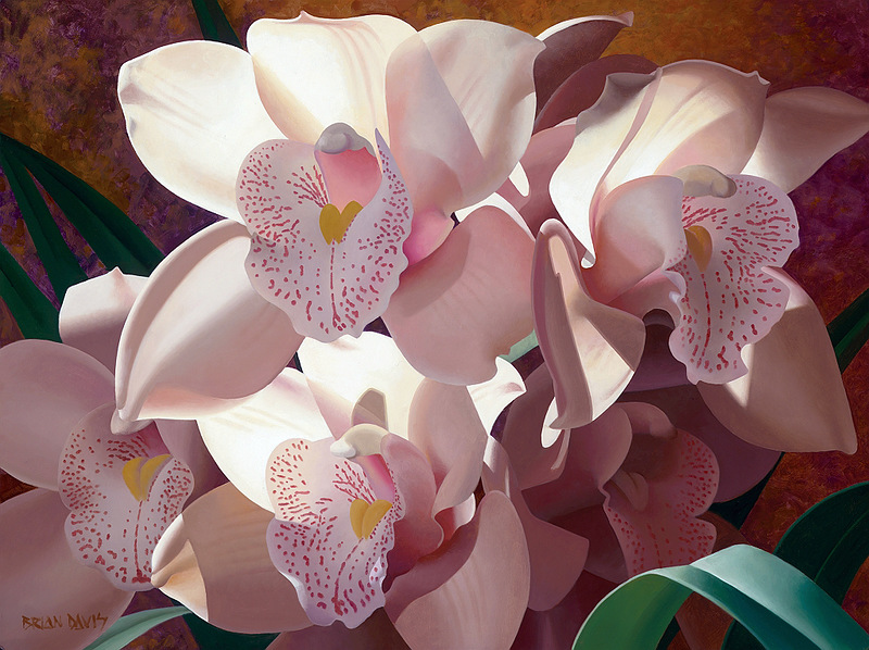    (Brian Davis)