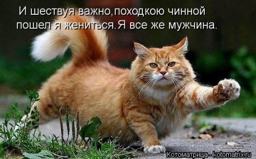   ... !