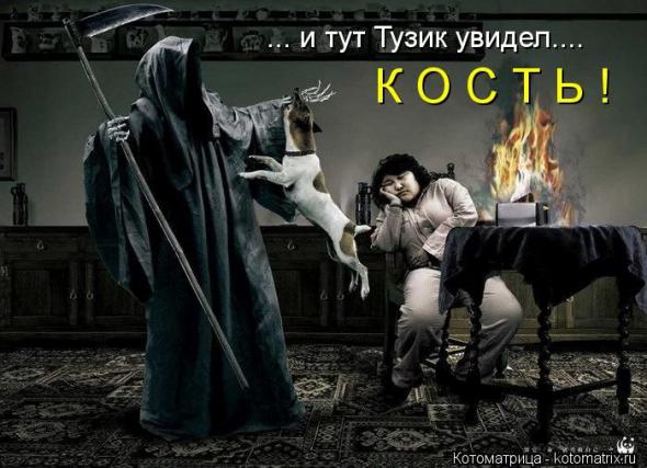 Котоматрицы (картинки с надписями)
