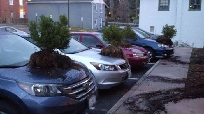 Подборка картинок Подборка картинок картинки, приколы