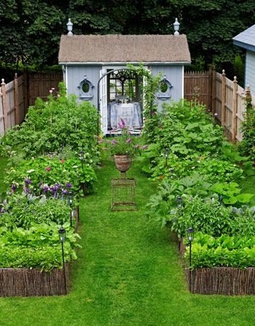 Красивые идеи для вашего сада