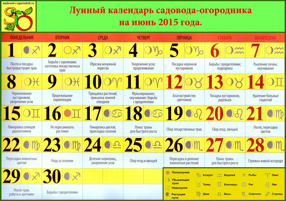 Праздник на день рождение директора