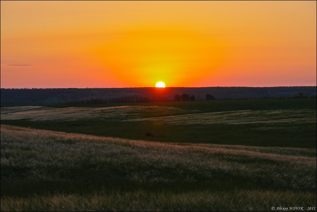 Фотопрогулки. Закат в ковыле Фотопрогулки. Закат в ковыле