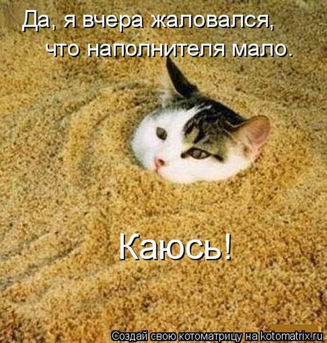 Лучшие котоматрицы недели