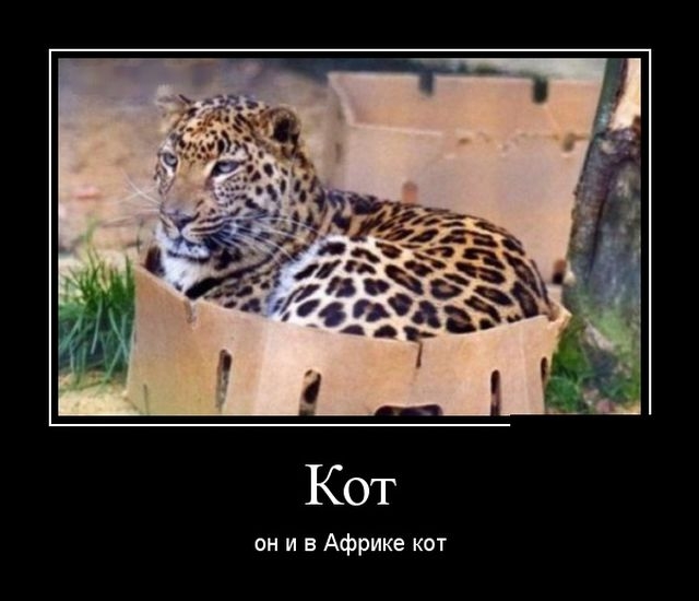 Демотиваторы Демотиваторы