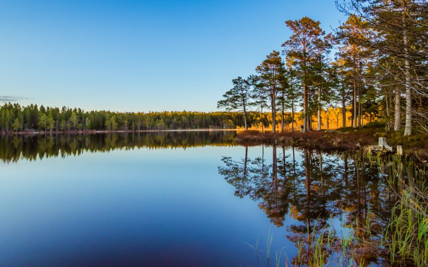  Пейзажи отраженные в воде вода, отражение, пейзажи