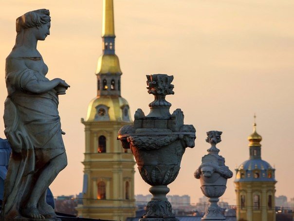 Загадочные обитатели петербургских крыш Загадочные обитатели петербургских крыш