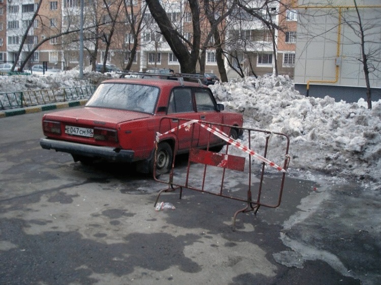 Вот хозяева двора, в голове у них дрова