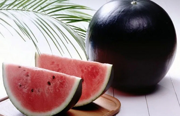 Самые дорогие продукты в мире
