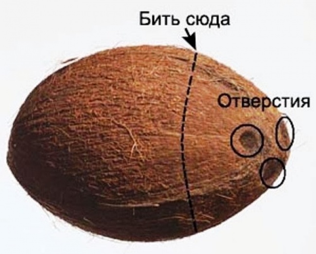 10 продуктов, которые мы всю жизнь открывали неправильно 10 продуктов, которые мы всю жизнь открывали неправильно
