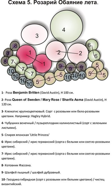 СОЗДАЙТЕ ЦВЕТНИК НЕПРЕРЫВНОГО ЦВЕТЕНИЯ