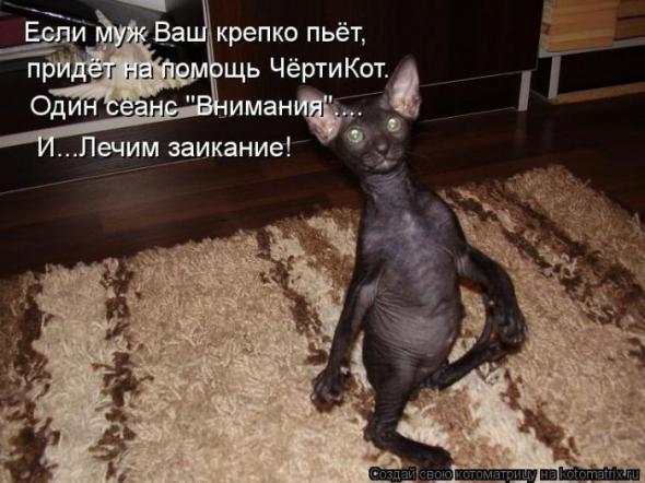 (  )