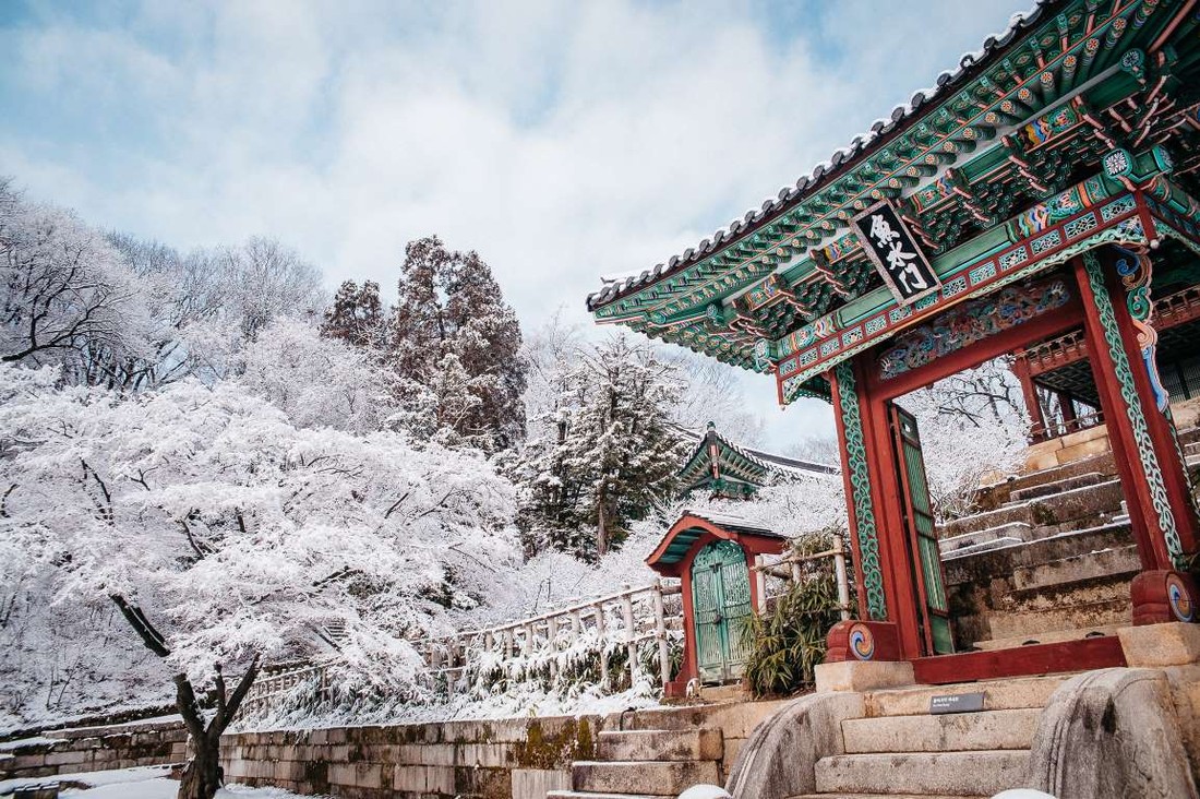 Победители Sony World Photography Awards National Award 2015