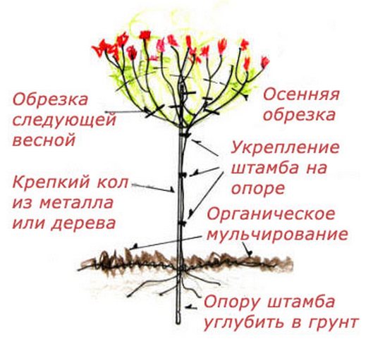Выкройка детского махрового