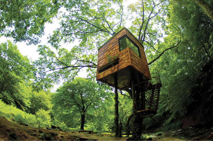 Экологические и комфортные дома на деревьях