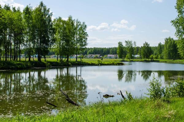 Пенсионные заметки Пенсионные заметки