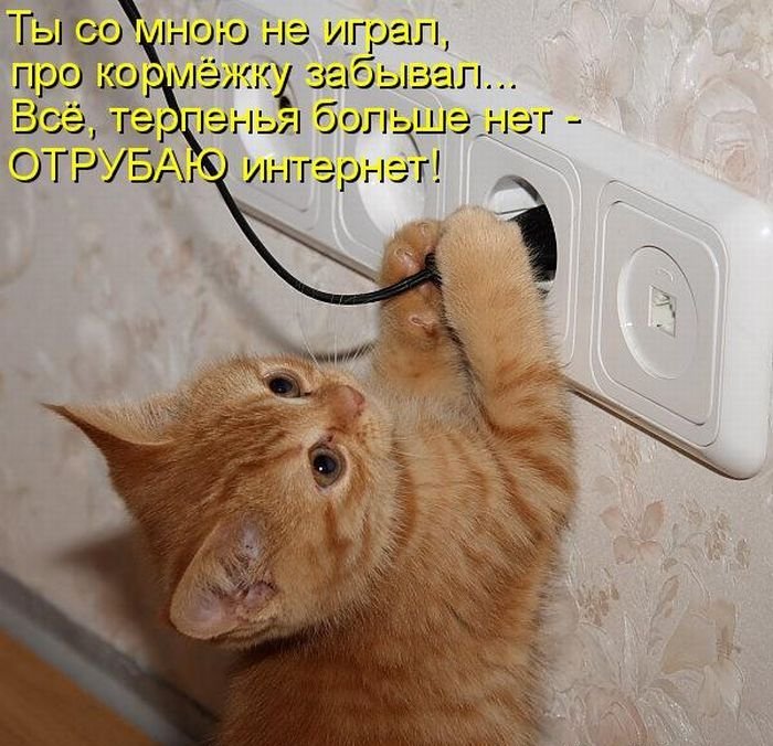 Котоматрица. Часть 2. (45 фото)