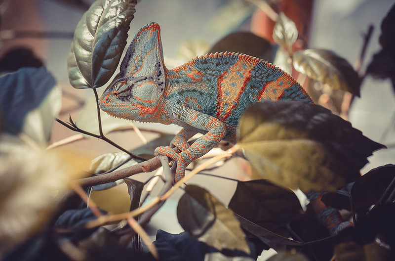 �������� � ���������