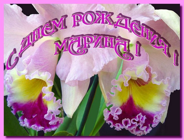 Смс поздравления Марине с днем рождения от коллег новые фото Смс поздравления Марине с днем рождения от коллег новые фото