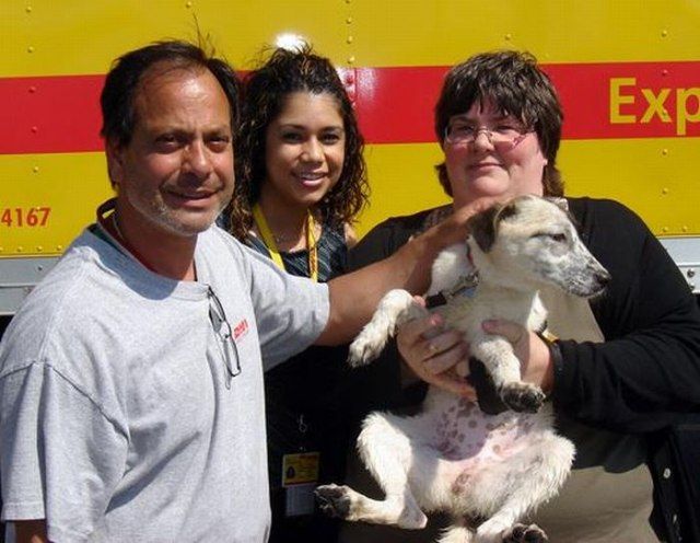 Щенок в память о сыне