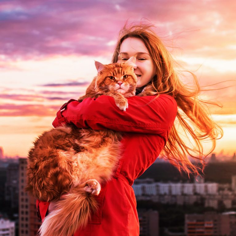 Рыжий кот по имени "Котлета" покоряет интернет