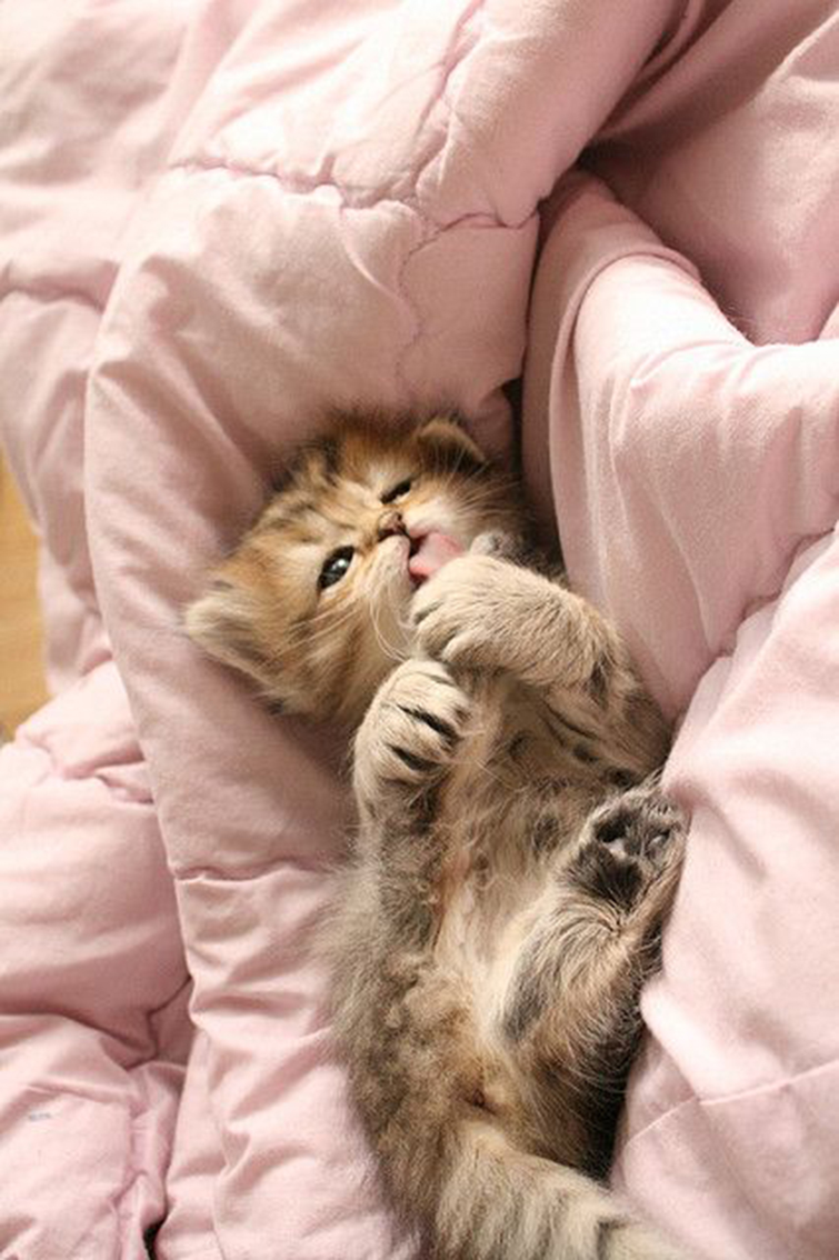 375632bbc40e4f9679b72653215a99a4