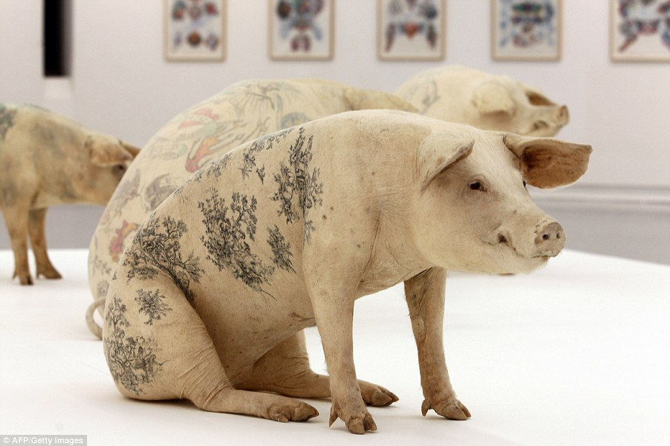 9.	В 2010 году несколько татуированных свиней были представлены на выставке в Музее современного искусства в Ницце, Франция.