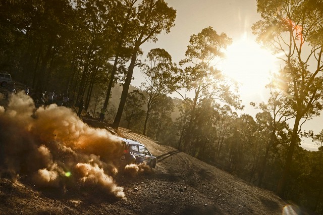 Британский гонщик Элфин Эванс за рулем Ford Fiesta RS во время ралли в Австралии