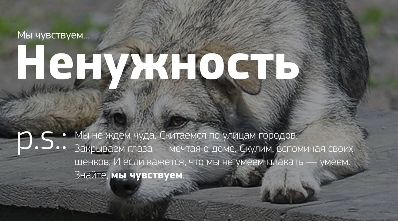 Мы чувствуем