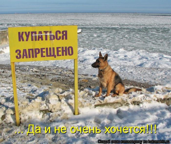 ����������� (49 ����)