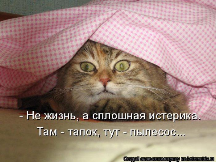   :)