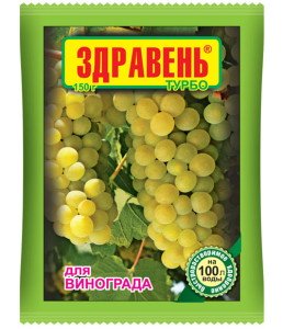 Виноград Изабелла в Подмосковье – правильный уход и обрезка + Видео Виноград Изабелла в Подмосковье – правильный уход и обрезка + Видео