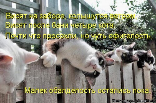   ... !