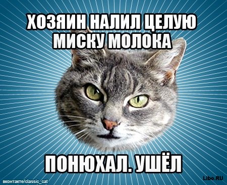 Мем: Типичный Кот
