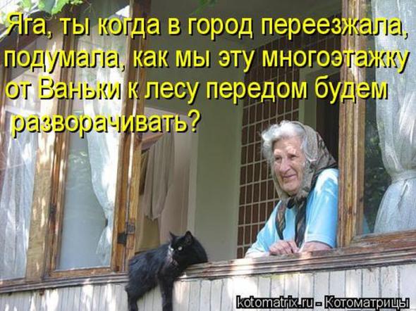 Котоматрицы (картинки с надписями)