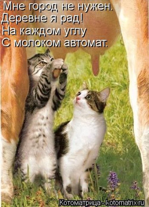 (  )