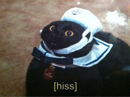 Котики и кошечки, которые вызовут у вас улыбку (29 фото) Котики и кошечки, которые вызовут у вас улыбку (29 фото)