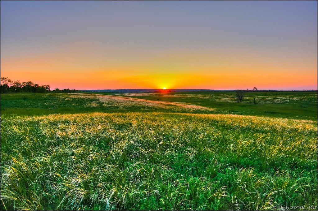 Фотопрогулки. Закат в ковыле Фотопрогулки. Закат в ковыле