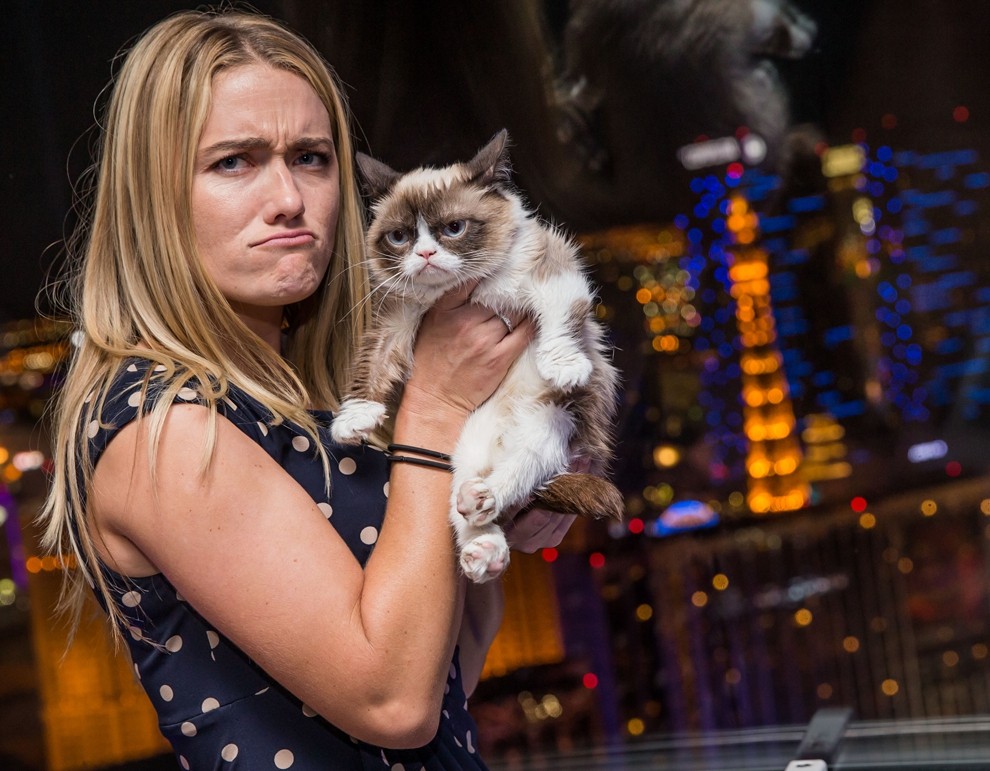 10 заветных секретов успеха самого богатого кота в мире GrumpyCat01 10 заветных секретов успеха самого богатого кота в мире
